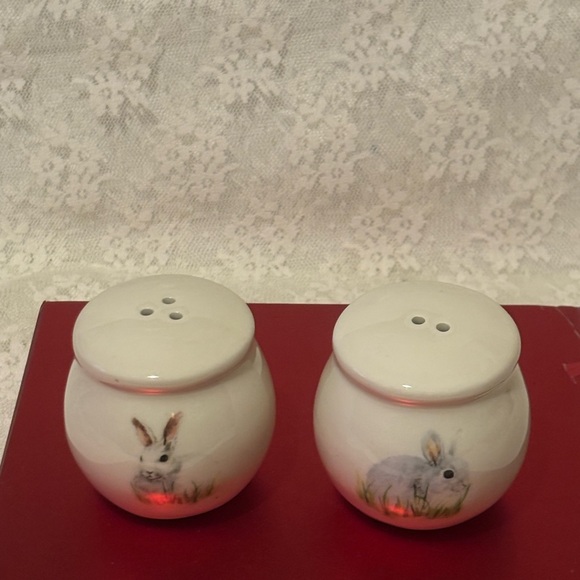 Charming Rabbit Salt and Pepper Shakers - Picture 2 of 10